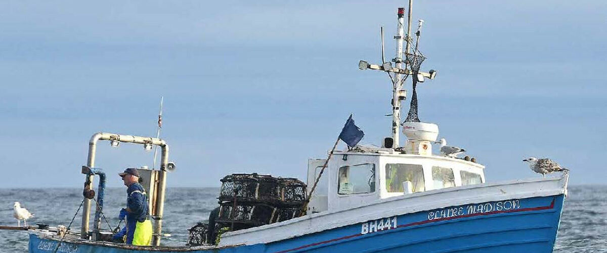 Boat of the Week: Claire Madison BH 441