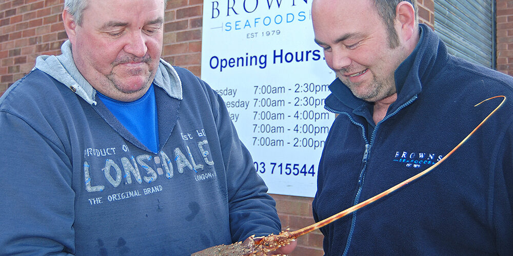 Rare saltwater crawfish caught six miles off Littlehampton