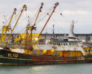 Report issued on Cornishman fatality