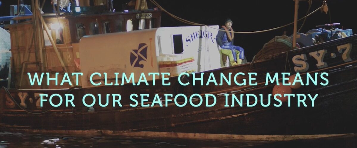 Seafish launches climate change campaign