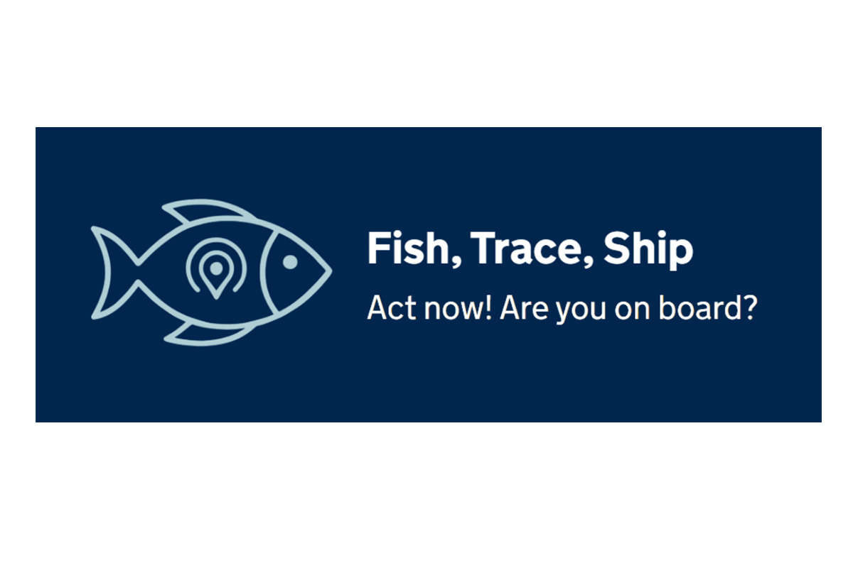 Fish, trace, ship: new EU export requirements from January - Fishing News