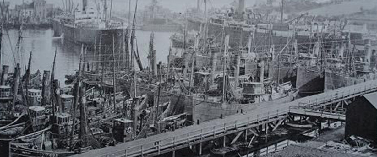 Welsh fishing industry ‘now on life support’