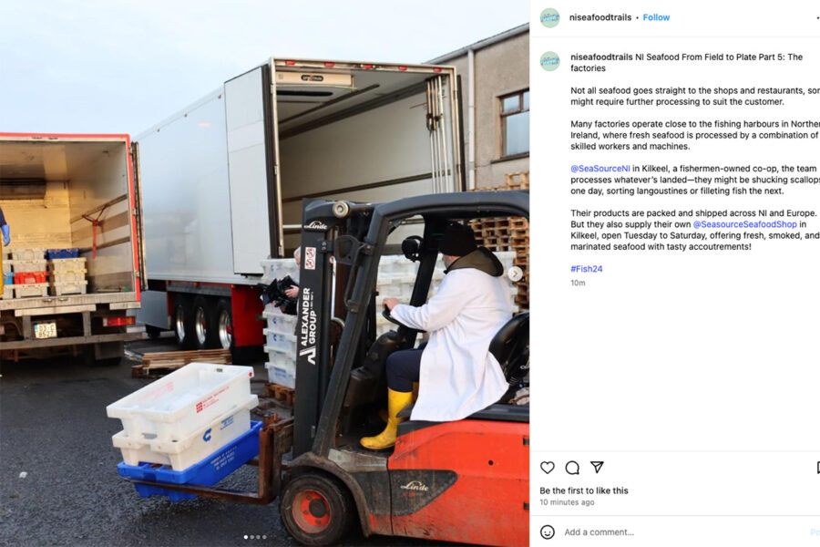 Social media awash with #Fish24 as industry celebrates seafood