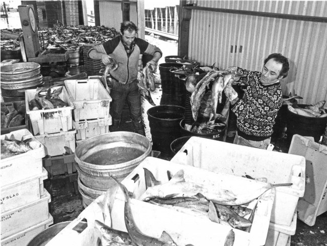Fishmarkets of yesteryear: Newlyn