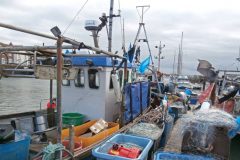 Littlehampton fishermen share their concerns for state of the industry