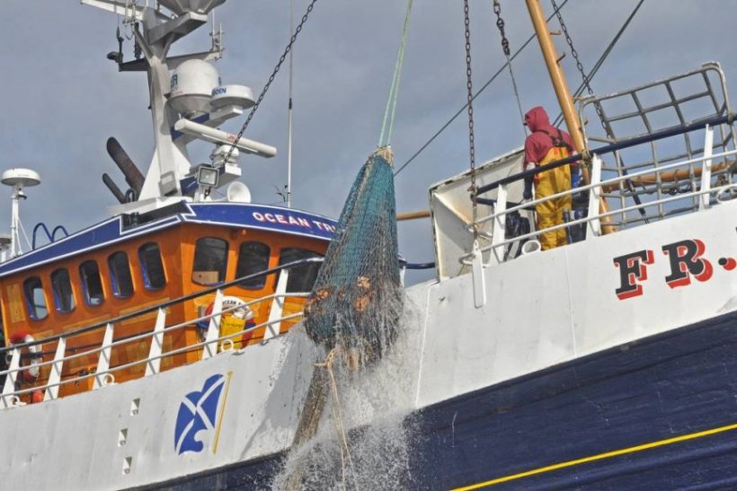 Action from the Moray Firth Squid Fishery