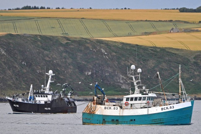 Action from the Moray Firth Squid Fishery