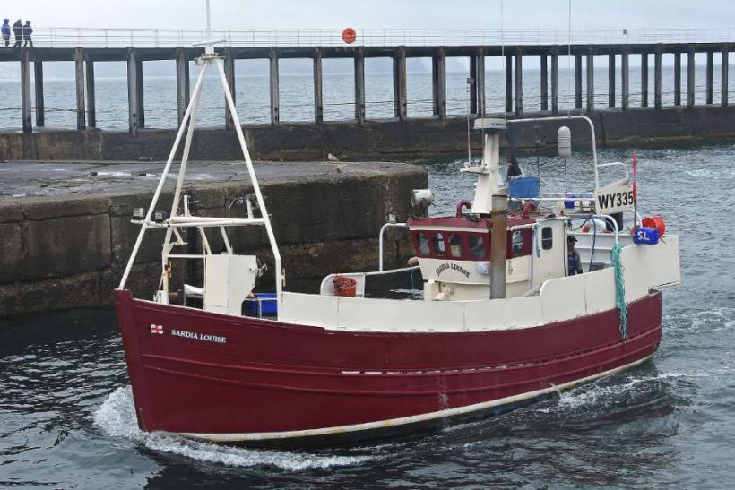 Boat of the Week: Sardia Louise WY 335