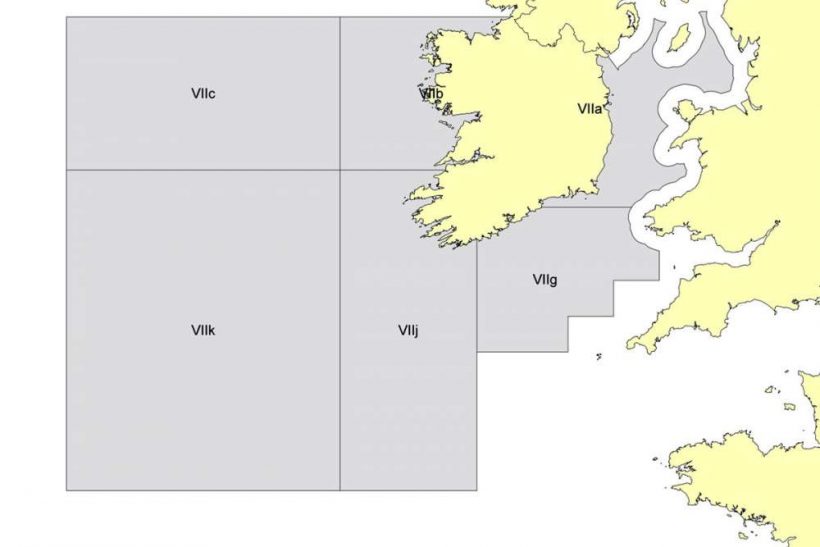 Coveney Welcomes Proposed Sea Bass Fishing Ban In Irish Waters