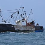Isle of Man king scallop fishery