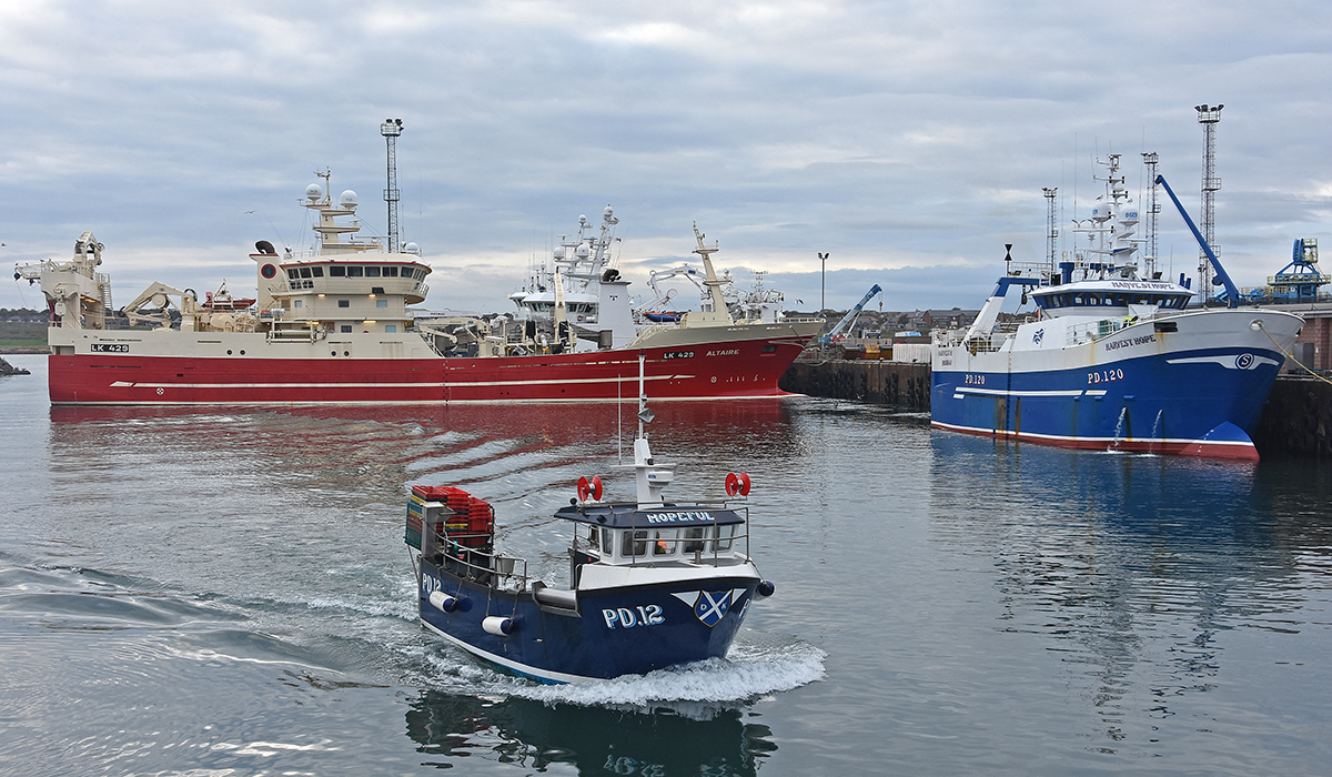 Peterhead surpasses 2015 catch value total - in October | Fishing News