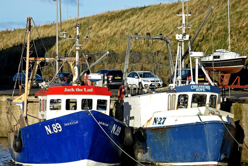 Encouraging outlook for Irish Sea Nephrops fishery