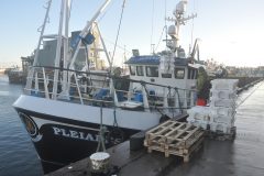 Cod recovery plan hits prawn landings