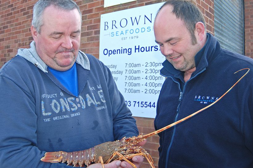 Rare saltwater crawfish caught six miles off Littlehampton