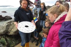 Lobster release and coastal foraging at Trevone Beach