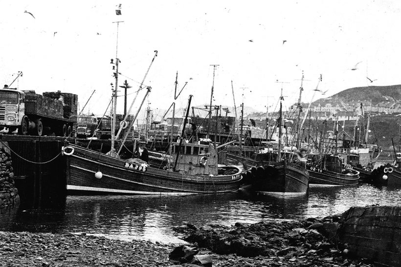 Ports in the Past: Mallaig harbour of yesteryear
