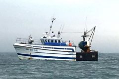 Frustration as French trawlers target bass off Portsmouth