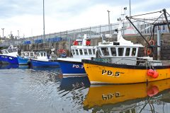POs are failing small boat fishermen