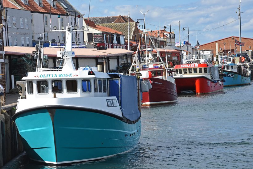 Shellfish catches lead the way for Yorkshire harbours