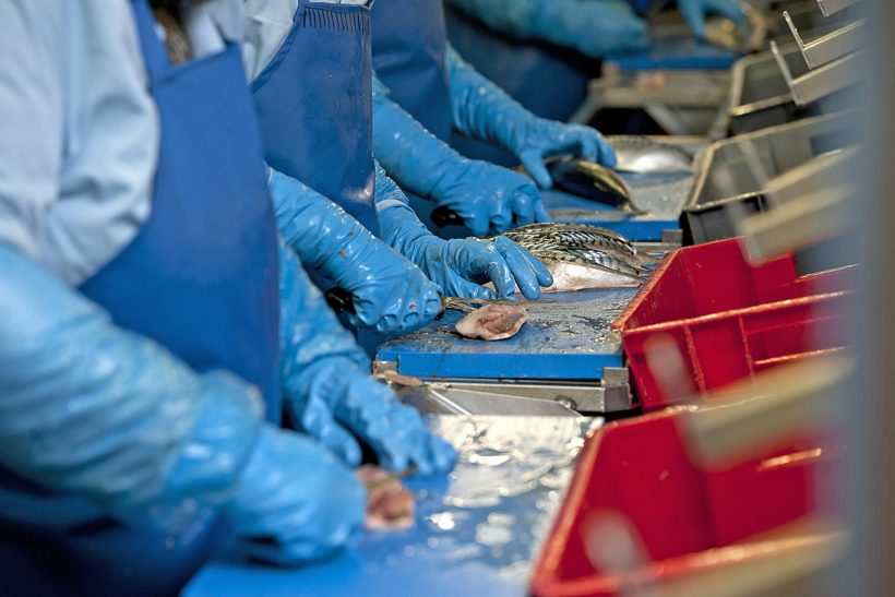 Seafood processors: participate in critical work force survey