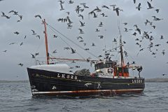 £1m catch value per day in Shetland waters