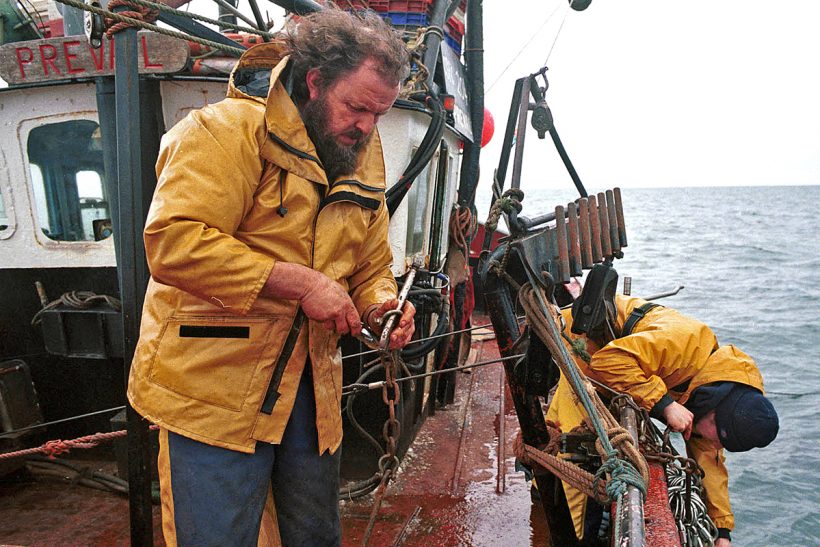 The origins of the present day Cornish sardine fishery