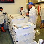 Buyer Mark Owen (in the blue cap) from David Walker and Son fish merchants, bidding for Cornish hake. Auctioneer John Rogers is on the left.
