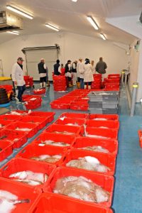  Better facilities from the £1.3m investment in the new fishmarket at Newlyn.
