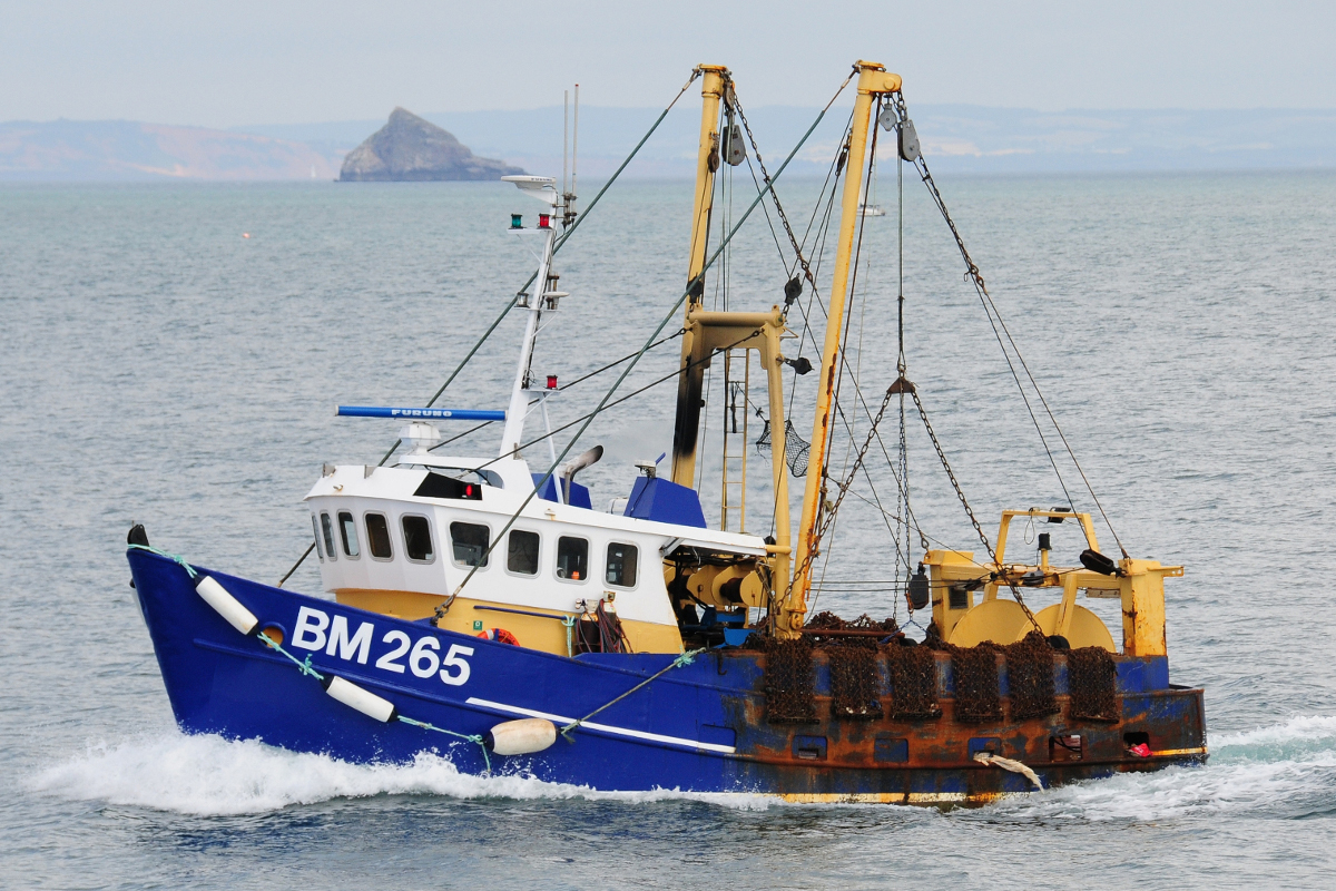 boat-fishing-devon