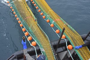 The shadier ground hopper seine was one of three nets Jackson Trawls made for Achieve.