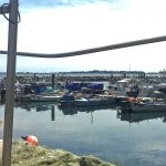 Fishermen’s Dock in Poole Harbour.
