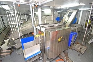 KM gutting machines are positioned either side of a highly automated fish-handling system designed to optimise catch quality.