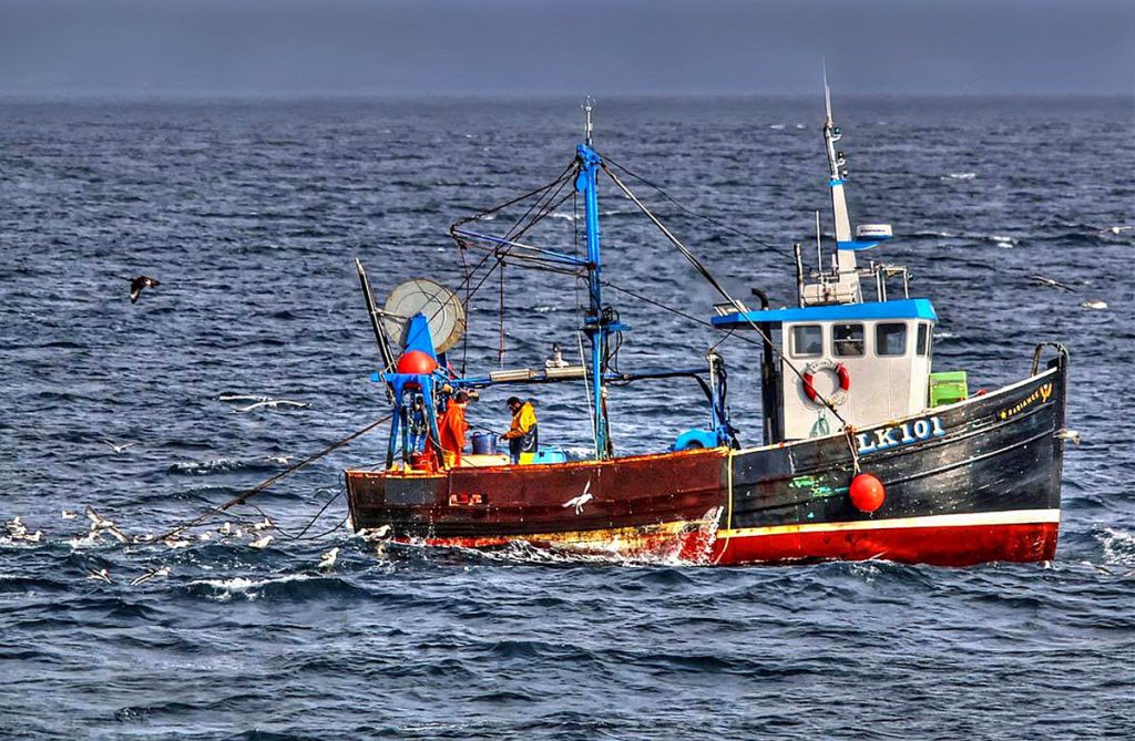 Whalsay skipper George Andrew Williamson’s inshore trawler Radiance, towing for squid off Skerries.  (Photo: Ivan Reid)