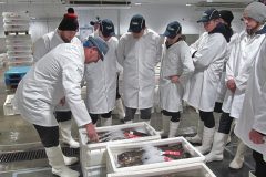 … on a recent visit to Peterhead fishmarket.