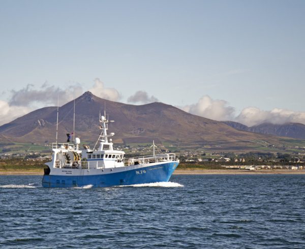 Northern Osprey N 76, steaming off its home port of Kilkeel, with the Mourne mountains in the background. (Joanne Kearney)