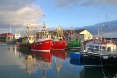 A trio of scallopers – Ubique KY 28, Marigold A 52 and Queensberry BA 156 – on a gorgeous winter’s morning in Arbroath harbour. (Stuart Hollingworth)
