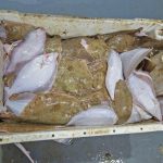 A mixed box of plaice and sole, ready for gutting.