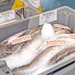 MSC-accredited Cornish hake landed by Newlyn’s netting fleet replaced monkfish as the most valuable species landed at Newlyn last year.