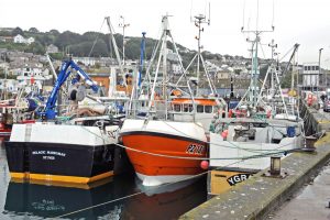 Ring-net boats at Newlyn, ready for the start of the new season, with a bigger allocation of sardines to fish.