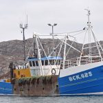 A newly painted Kelly BCK 625 moored in Kallin harbour.
