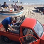 In the early 1990s, traditional wooden crabbers…