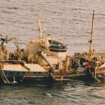 Adenia II pumping pursed fish in the mid-1990s.