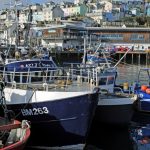 Business is brisk in Brixham following the launch of the web clock auction in June.