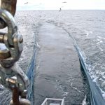 Hauling the twin-rig trawls for the first time on fishing trials in the Moray Firth.