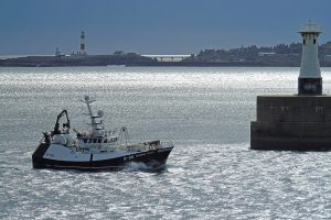 Guiding Light approaching Peterhead last week, where only a small number of whitefish boats landed. (Photo: Ryan Cordiner)