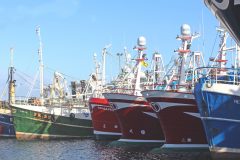 Whitefish and prawn boats tied up at Fraserburgh on Thursday of last week.