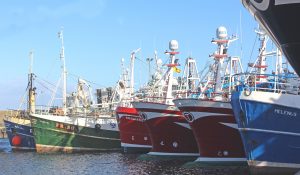 Whitefish and prawn boats tied up at Fraserburgh on Thursday of last week.
