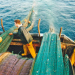 Shooting away the prawn trawls…