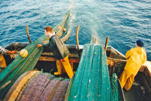 Shooting away the prawn trawls…