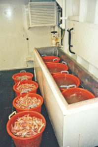 Amethyst II was the first boat in the Fraserburgh prawn fleet to feature a chilled dip tank to enhance catch quality.